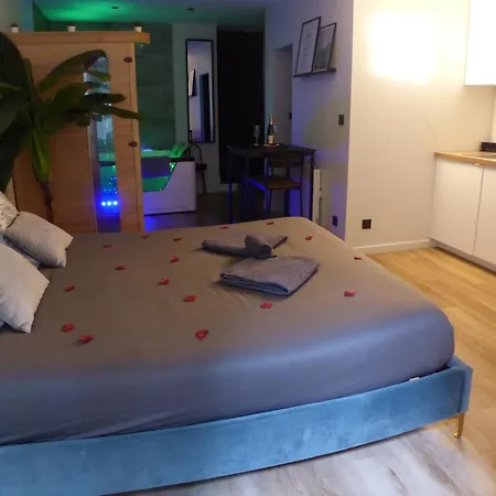 Appartement Balnéothérapie Et Sauna Hyper Centre Nantes