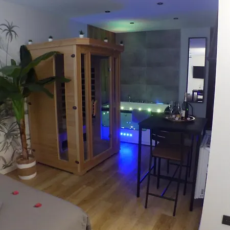 Balneotherapie Et Sauna Hyper Centre * Nantes