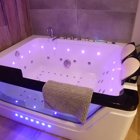 Balnéothérapie Et Sauna Hyper Centre Appartement Nantes