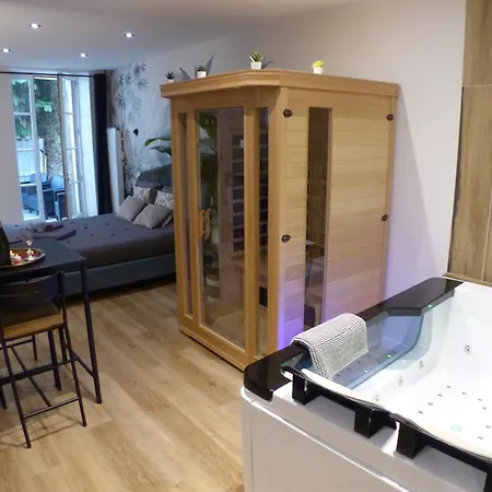 Balneotherapie Et Sauna Hyper Centre Apartment *